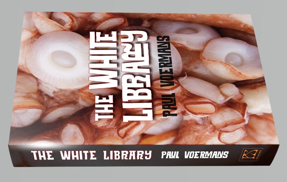 My New Novel–The White Library